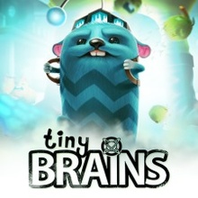 Tiny Brains